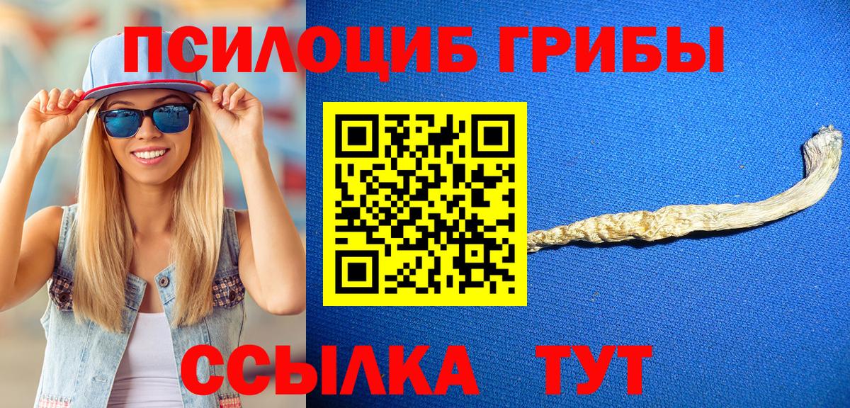 Галлюциногенные грибы Psilocybine cubensis Десногорск