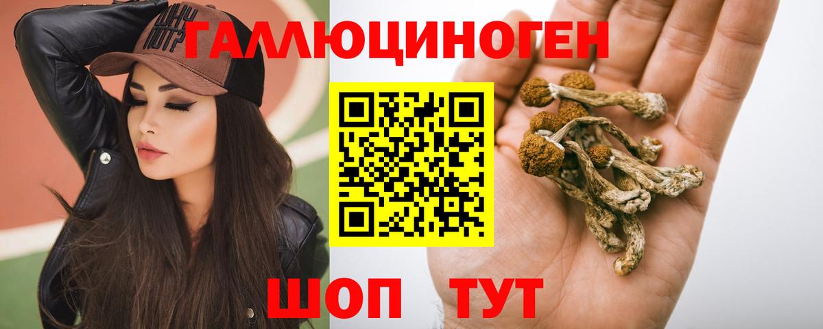 Десногорск  Псилоцибиновые грибы GOLDEN TEACHER  Псилоцибиновые грибы Psilocybine cubensis  Вход с VPN 